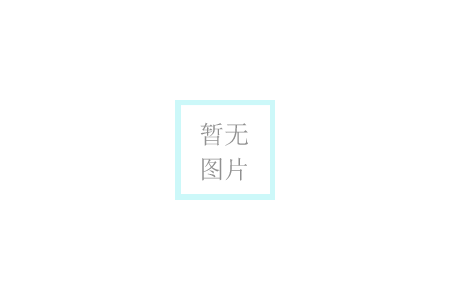 SCD斷鏈保護(hù)器（失速開(kāi)關(guān)）